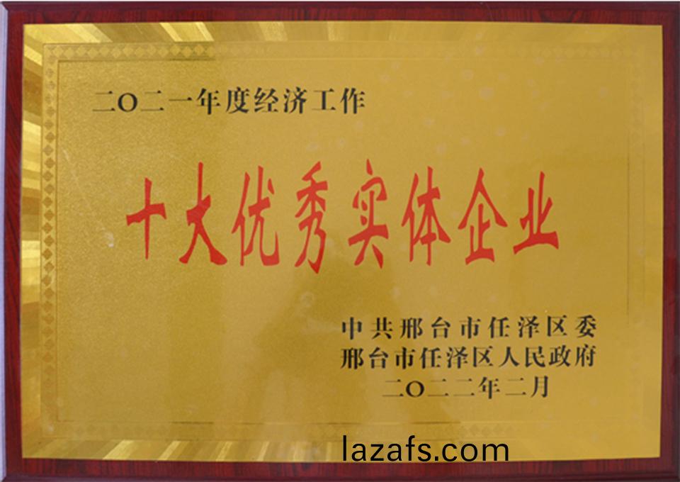 十大优秀实体企业